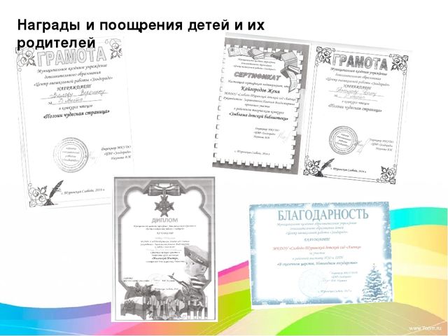 Развитие познавательной активности детей через опытно-экспериментальную деятельность