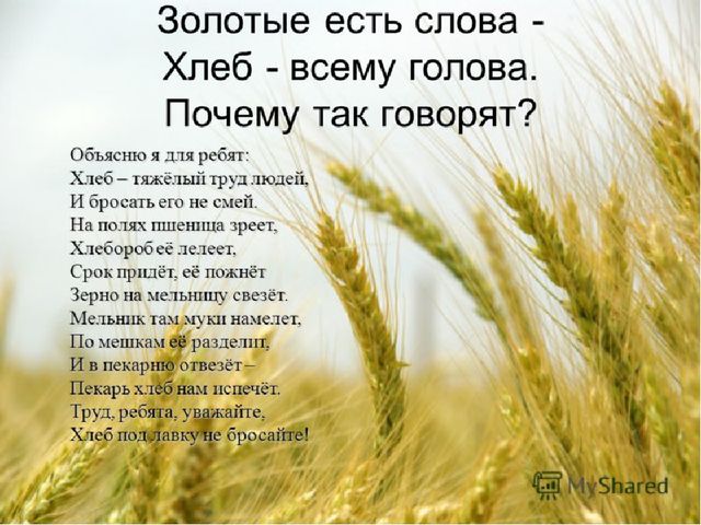 Презентация по познавательному развитию"Хлеб - всему голова"