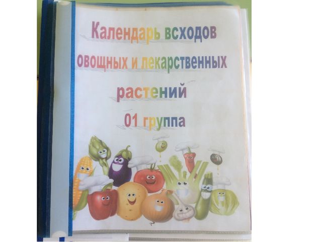 Презентация проекта «Огород на подоконнике. В гостях у Крупенички» в старшей группе "Светлячок"