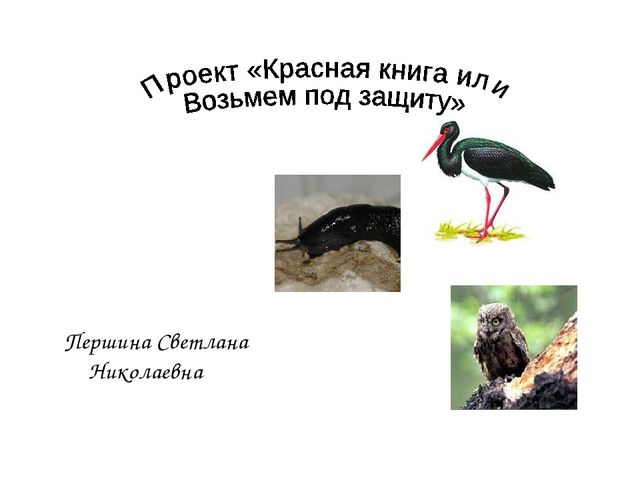 Презентация "Красная книга Кировской области"