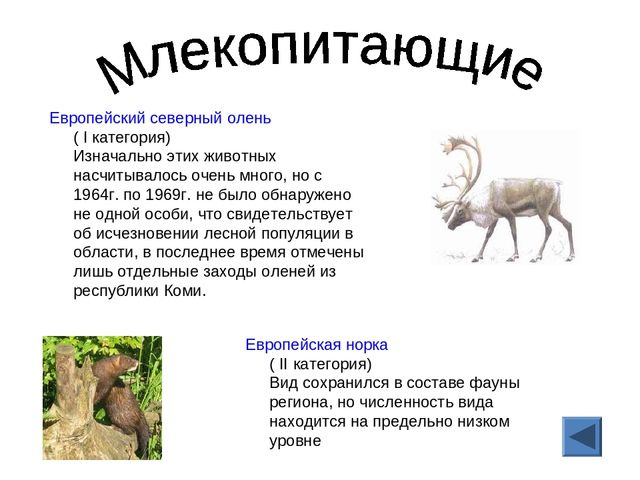 Презентация "Красная книга Кировской области"