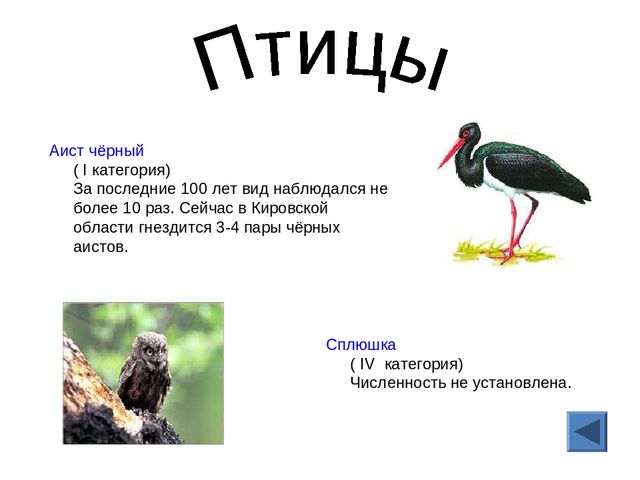 Презентация "Красная книга Кировской области"