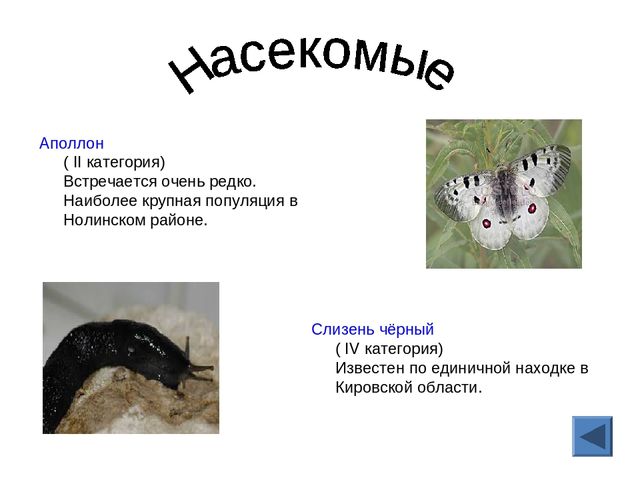 Презентация "Красная книга Кировской области"