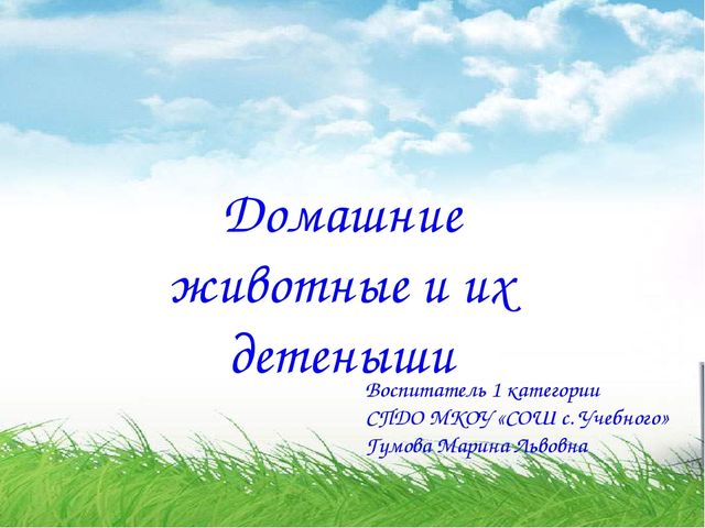 Презентация «Домашние животные и их детеныши»