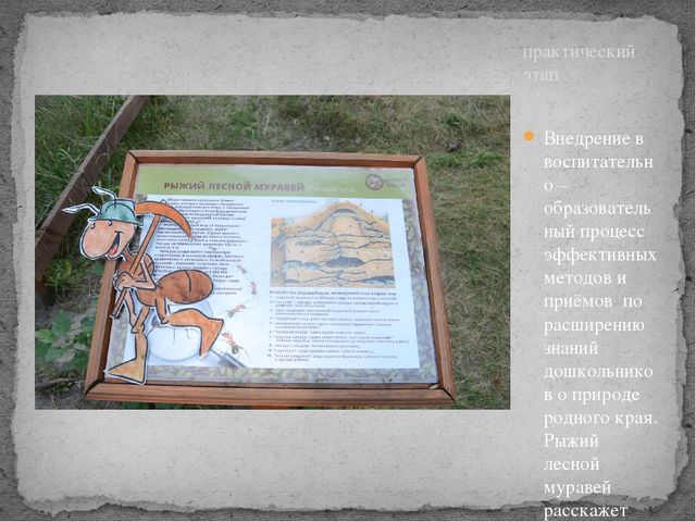 Презентация по окружающему миру на тему " Усманский бор - наш лес"