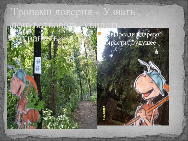 Презентация по окружающему миру на тему " Усманский бор - наш лес"