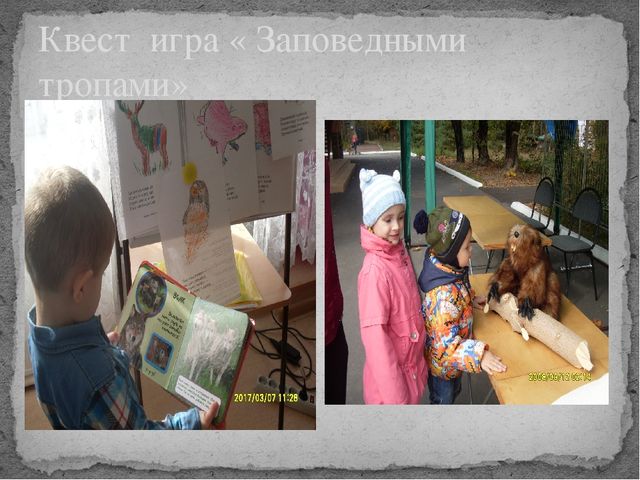 Презентация по окружающему миру на тему " Усманский бор - наш лес"