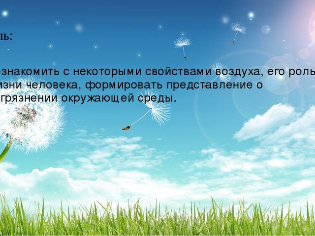Презентация проекта познавательно-исследовательской деятельности для детей 6-7 лет по теме:" Воздух, его свойства и значение для живых организмов"