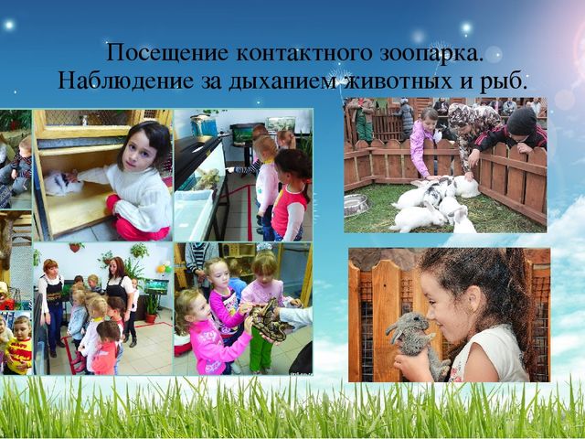 Презентация проекта познавательно-исследовательской деятельности для детей 6-7 лет по теме:" Воздух, его свойства и значение для живых организмов"