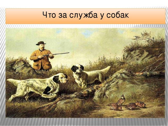 Презентация "Что за служба у собак"