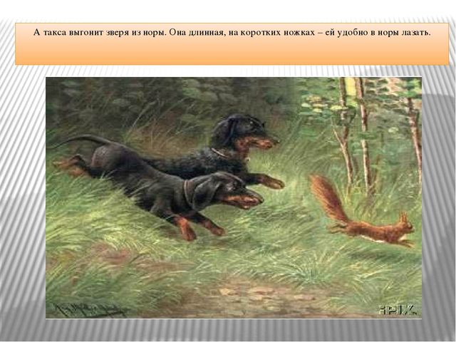 Презентация "Что за служба у собак"