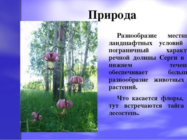Презентация по экологическому воспитанию на тему "Оленьи ручьи"