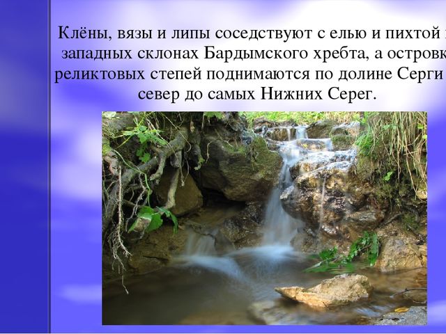 Презентация по экологическому воспитанию на тему "Оленьи ручьи"