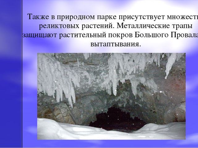 Презентация по экологическому воспитанию на тему "Оленьи ручьи"