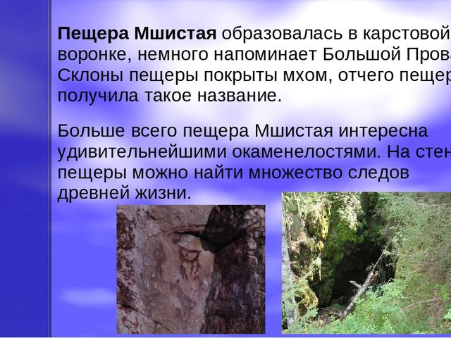 Презентация по экологическому воспитанию на тему "Оленьи ручьи"