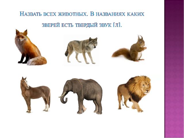 Презентация по обучению грамоте " Буква и звук Л" подготовительная группа