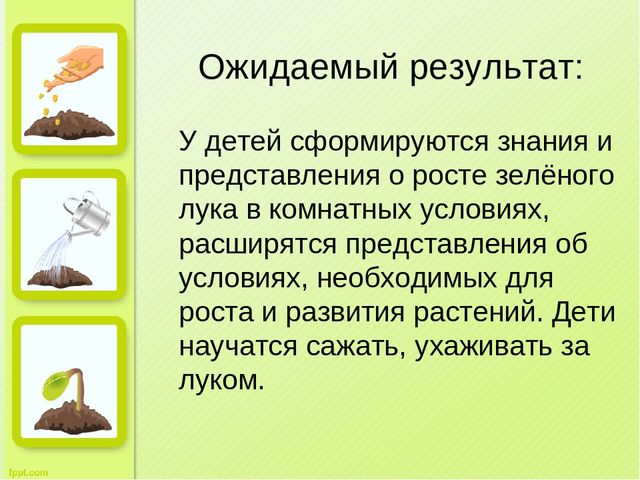 Презентация "Огород на окне" во второй младшей группе д/с