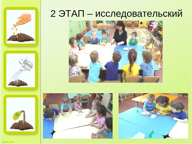 Презентация "Огород на окне" во второй младшей группе д/с