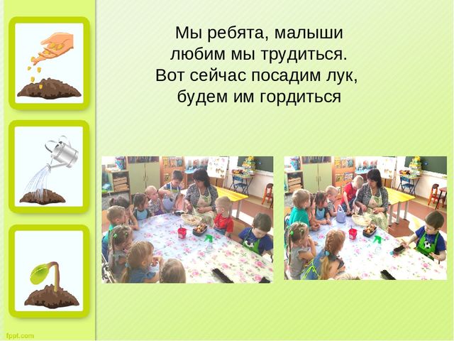 Презентация "Огород на окне" во второй младшей группе д/с