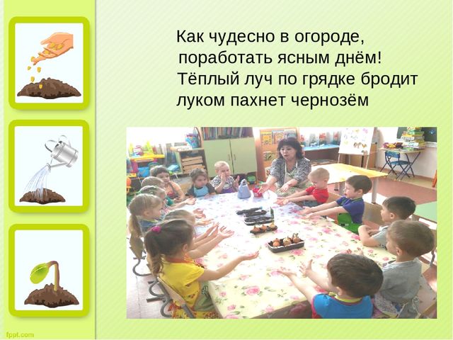 Презентация "Огород на окне" во второй младшей группе д/с