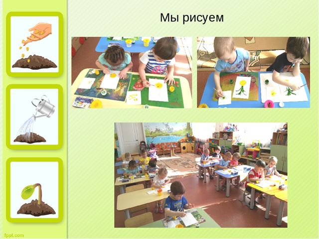 Презентация "Огород на окне" во второй младшей группе д/с