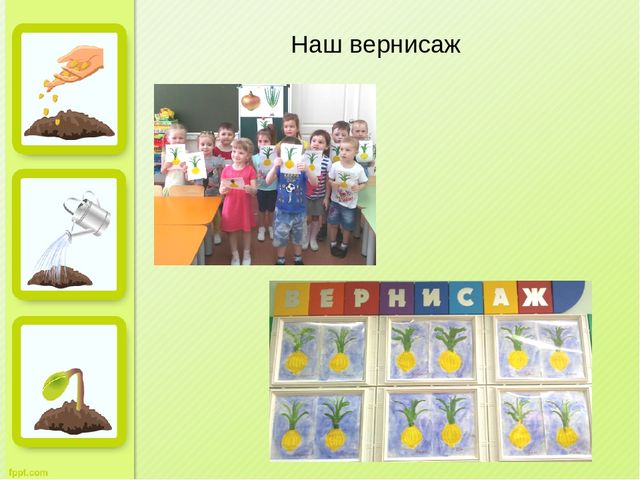 Презентация "Огород на окне" во второй младшей группе д/с