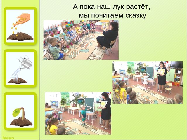 Презентация "Огород на окне" во второй младшей группе д/с