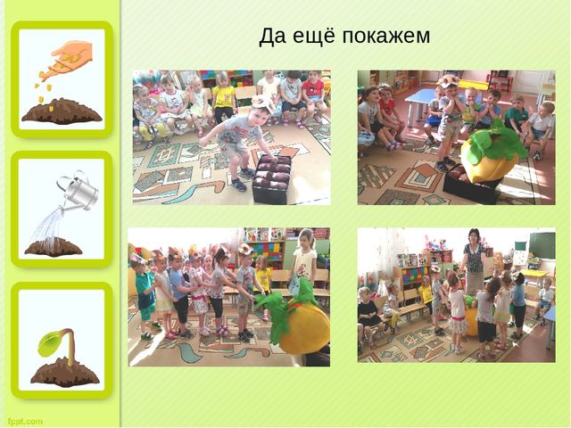 Презентация "Огород на окне" во второй младшей группе д/с