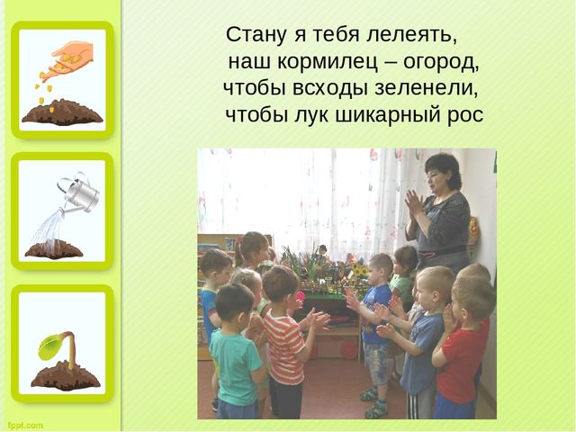Презентация "Огород на окне" во второй младшей группе д/с