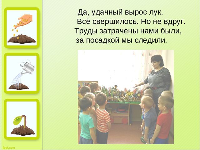 Презентация "Огород на окне" во второй младшей группе д/с