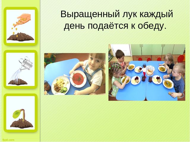 Презентация "Огород на окне" во второй младшей группе д/с