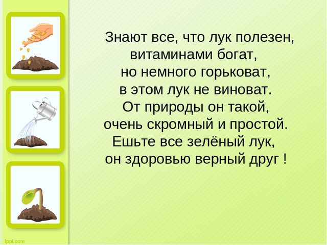 Презентация "Огород на окне" во второй младшей группе д/с