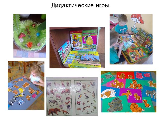 Презентация "Наш природный уголок"