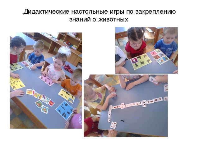 Презентация "Наш природный уголок"