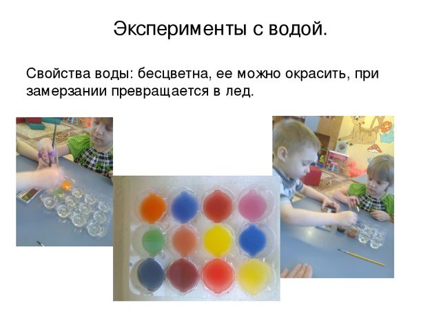 Презентация "Наш природный уголок"