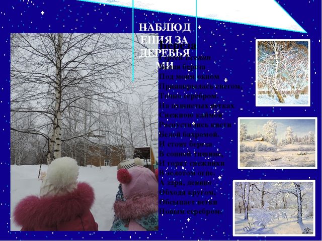 Презентация проекта "Свойства снега и льда"