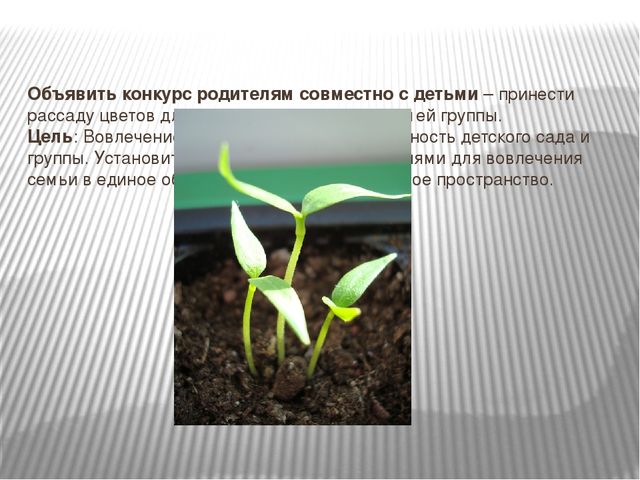 Презентация для детей старшего дошкольного возраста на тему "Мама, папа,я - творческая семья"