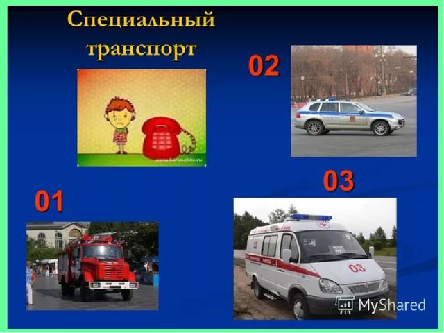 Презентация по развитию речи и конструированию на тему "Транспорт"