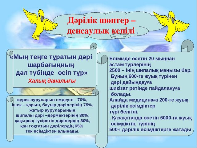 Презентация "Алоэ өсімдігінің ерекшіліктер және өсімдік қасиеті"