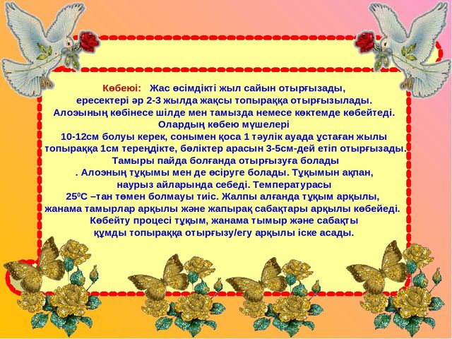 Презентация "Алоэ өсімдігінің ерекшіліктер және өсімдік қасиеті"