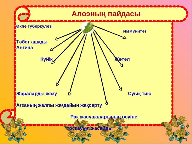 Презентация "Алоэ өсімдігінің ерекшіліктер және өсімдік қасиеті"