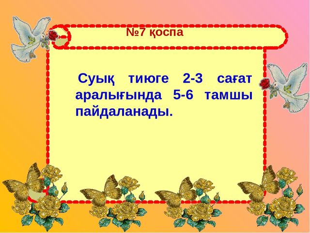 Презентация "Алоэ өсімдігінің ерекшіліктер және өсімдік қасиеті"