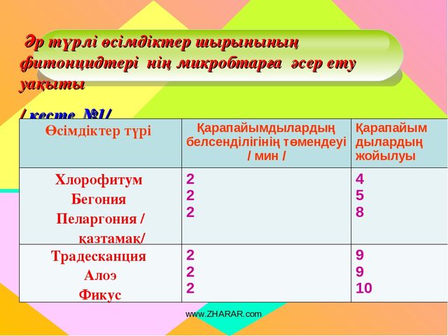 Презентация "Алоэ өсімдігінің ерекшіліктер және өсімдік қасиеті"