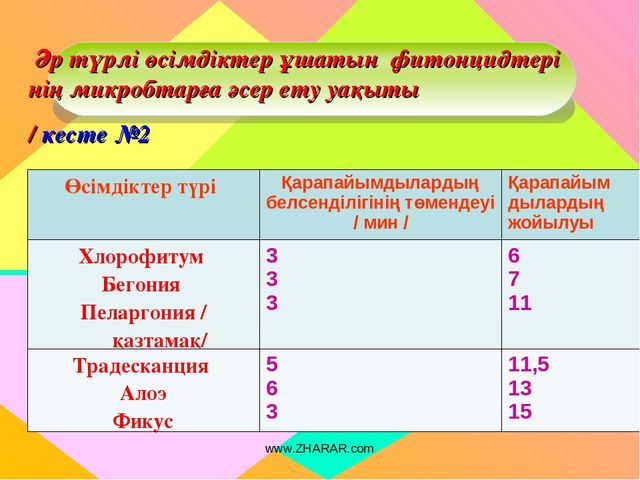 Презентация "Алоэ өсімдігінің ерекшіліктер және өсімдік қасиеті"