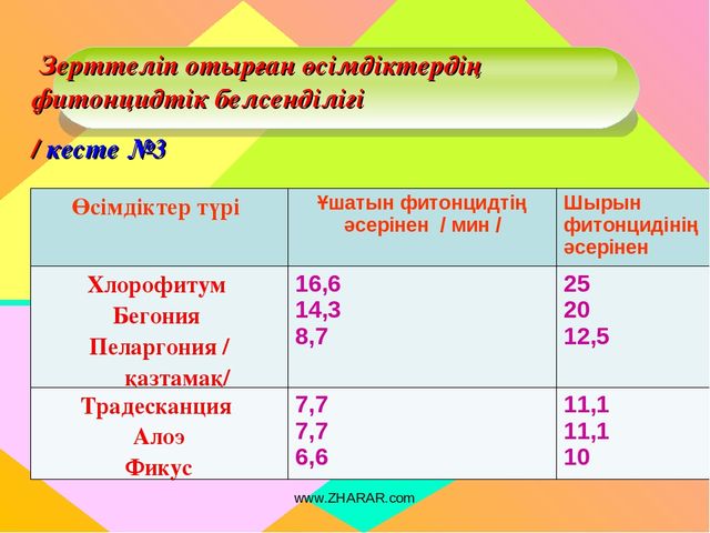 Презентация "Алоэ өсімдігінің ерекшіліктер және өсімдік қасиеті"
