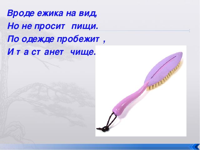 Презентация к занятию на тему: " Правила личной гигиены"