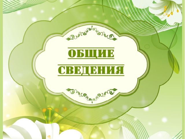 Презентация "Мое портфолио "