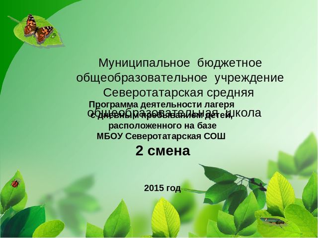 Программа деятельности лагеря с дневным пребыванием детей