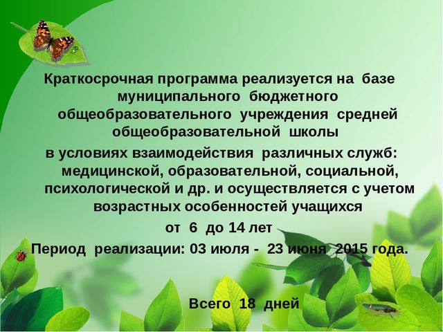Программа деятельности лагеря с дневным пребыванием детей