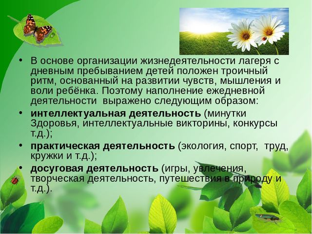 Программа деятельности лагеря с дневным пребыванием детей